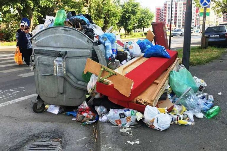 Garbage war. Bucharest mayor wins battle with waste company after paying collectors to pick up trash