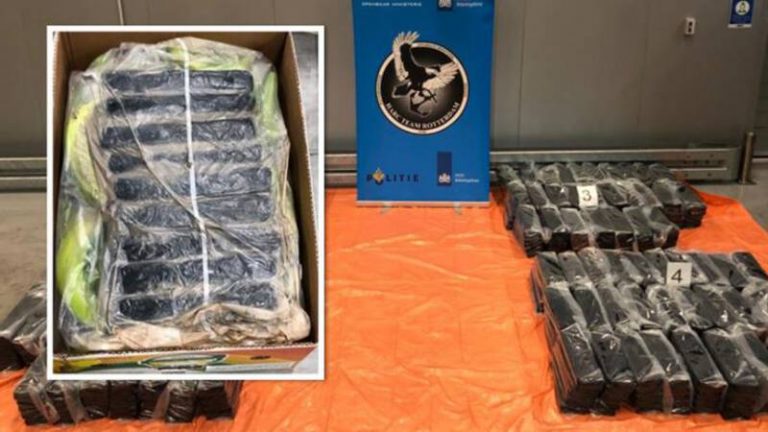Trei tone de cocaină, descoperite într-un transport de piure de banane în portul Rotterdam