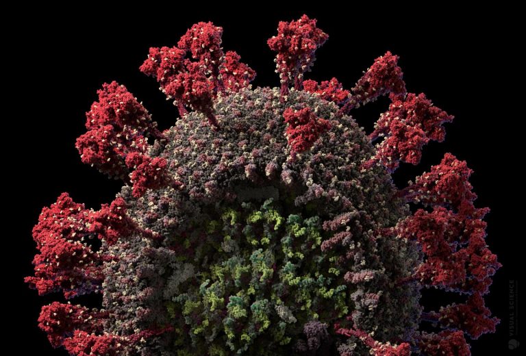 Un nou virus, denumit NeoCoV și înrudit cu MERS, ar putea avea o rată ridicată de transmisibilitate și de mortalitate pentru oameni – studiu