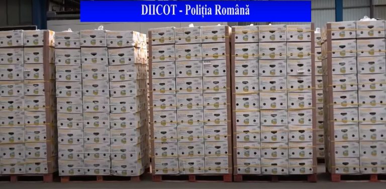 VIDEO | Romania authorities seize cocaine worth €25 million hidden among Colombian bananas