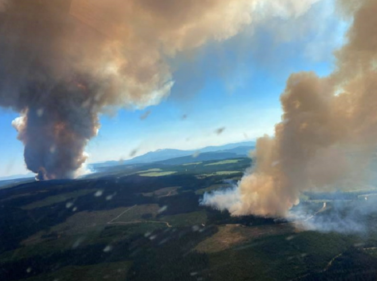 Uniunea Europeană, pregătită să trimită aproape 300 de pompieri să lupte împotriva incendiilor de pădure din Canada