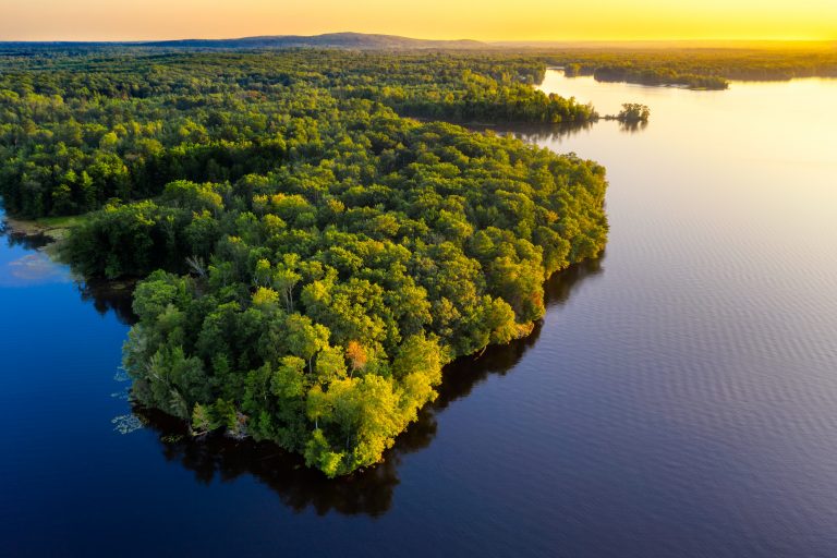 „Plămânul Terrei”. Pădurea amazoniană emite pentru prima dată mai mult dioxid de carbon decât consumă