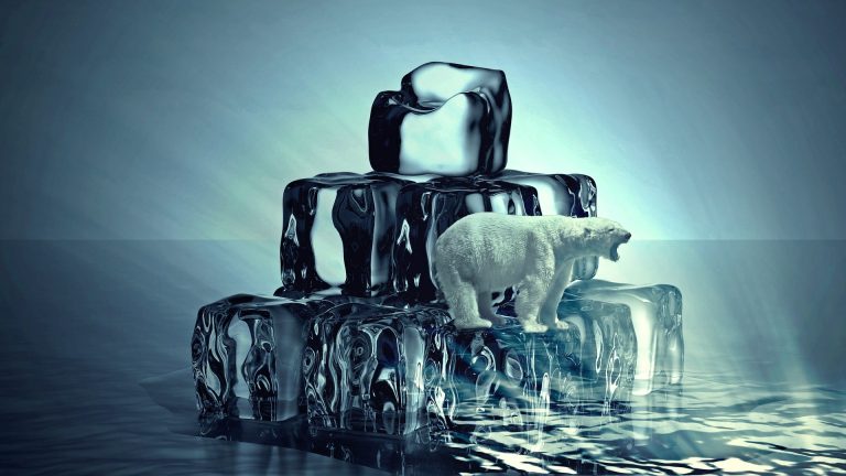 Romanian companies lead in investments in energy efficiency and green technologies