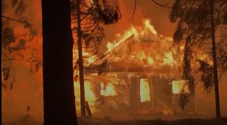 Sevenfold increase in vegetation fires in 2022 Romania