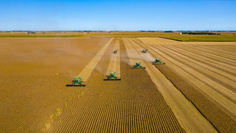 ANALIZĂ: Agricultura, una „dintre cele mai spectaculoase business-uri din România” în următorii ani
