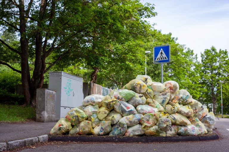 Aproape jumătate din producția mondială de mâncare este risipită – raport