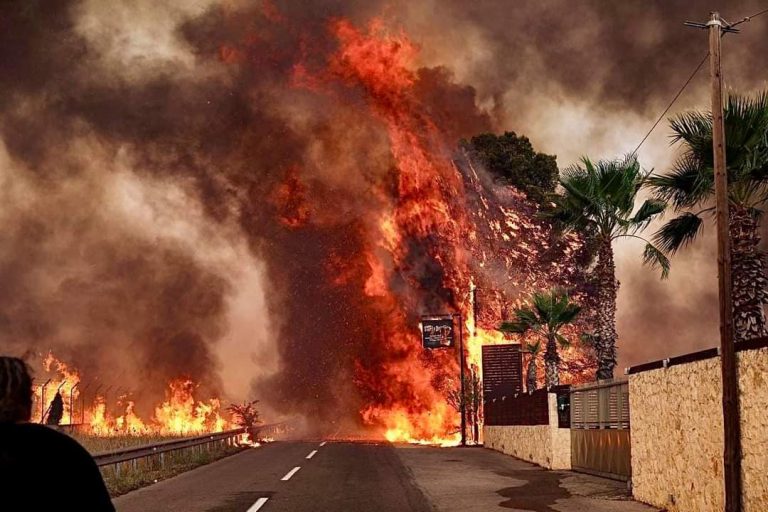 Incendiile din Grecia: Unele focare nu ar avea cauze naturale. Parchetul a demarat o anchetă