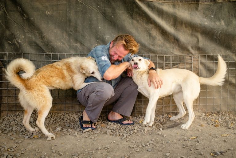 Cresc pedepsele şi amenzile pentru acţiuni de cruzime împotriva animalelor