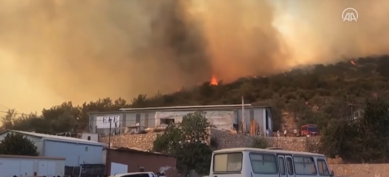 VIDEO | Turcia, Italia, Grecia – devastate de incendii de vegetație. Turiștii sunt evacuați din calea focului