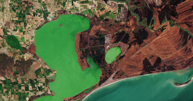 FOTO | Imagini spectaculoase cu Delta Dunării văzută din spațiu de misiunea Copernicus Sentinel-2