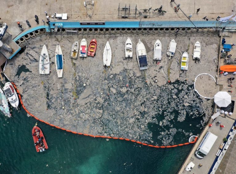 Experți: „Mucilagiul marin” din Marea Marmara riscă să se transforme într-un dezastru ecologic regional