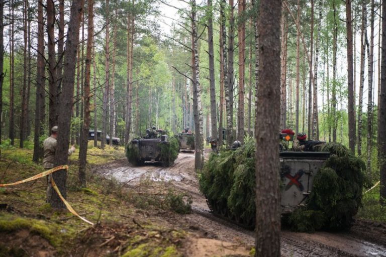 Puteri extinse pentru armata lituaniană, la granița cu Belarus