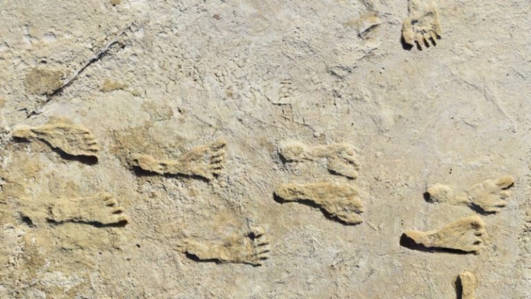 Au fost descoperite cele mai vechi amprente lăsate de om