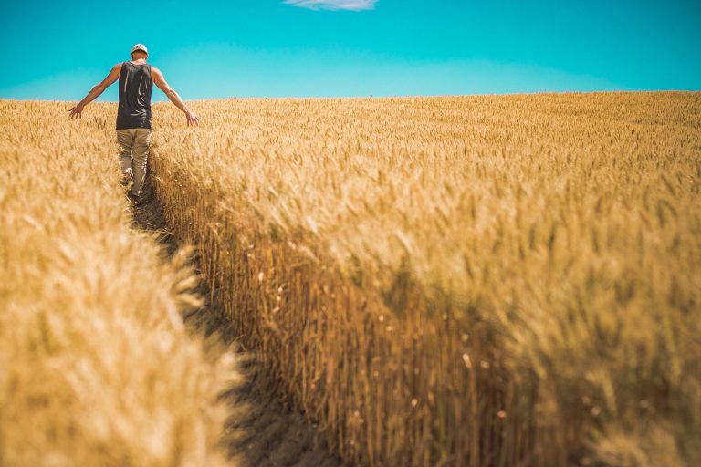 EU says no to Hungary&Poland’s Ukrainian grain ban