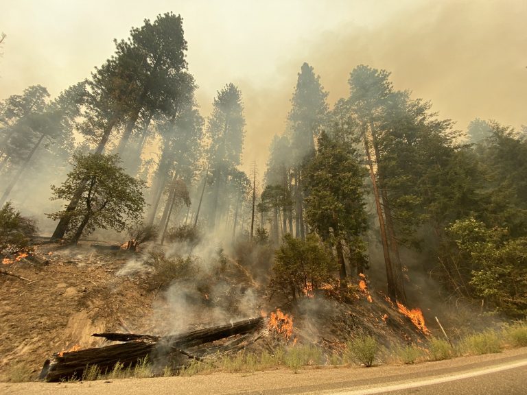 VIDEO | Infernul din zona lacului Tahoe. Paradisul turistic s-a transformat într-o vastă întindere de cenușă