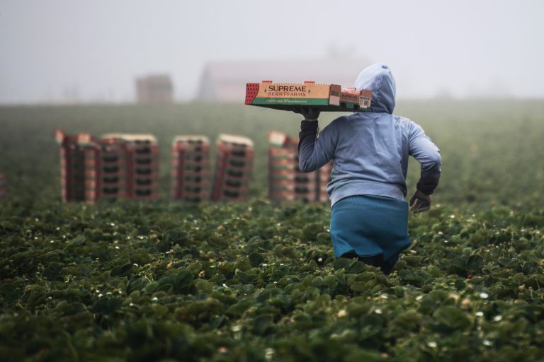 China vânează în întreaga lume terenuri arabile pentru a-și asigura securitatea alimentară