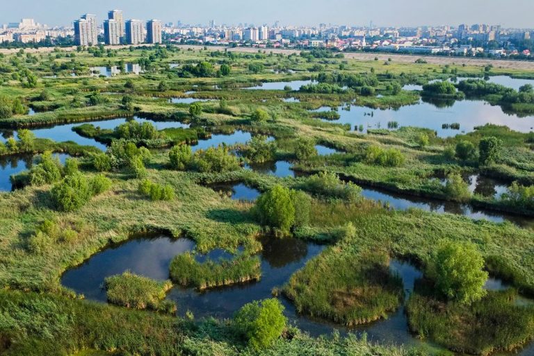 Cadariu: Turismul îşi poate reveni total după pandemia COVID-19 abia în 2026