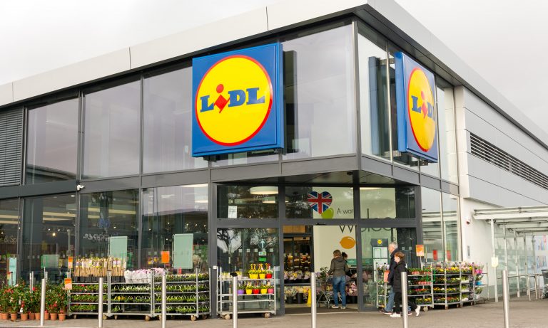 ANPC a amendat 265 de magazine și a închis 24 de unități Lidl, din cauza mizeriei, insectelor şi a produselor expirate