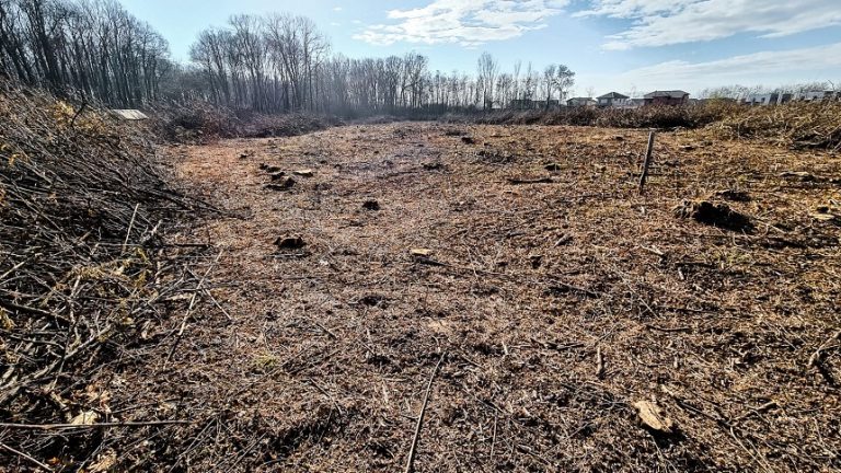 Minister says 3 million Romanian households that use firewood for heating should be exempt from climate friendly demands