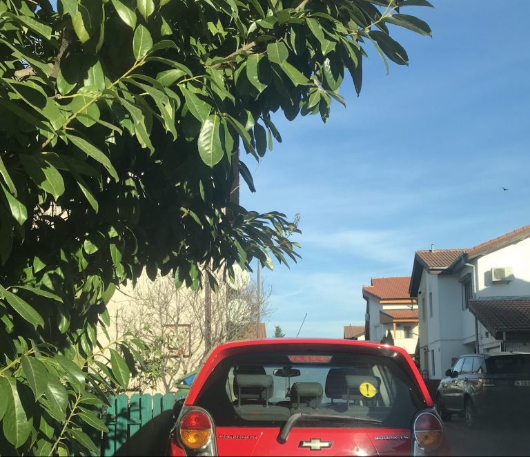 Prognoza ANM: Temperaturi mai ridicate decât cele normale în cea mai mare parte a lunii ianuarie