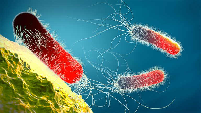 DOSAR PENAL. Mai mulţi pacienţi de la Secţia de Oftalmologie a SJU Harghita, infectaţi cu o bacterie. Trei şi-au pierdut complet vederea la un ochi