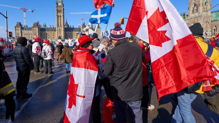 Protestatarii antivaccin din Canada riscă să piardă custodia copiilor