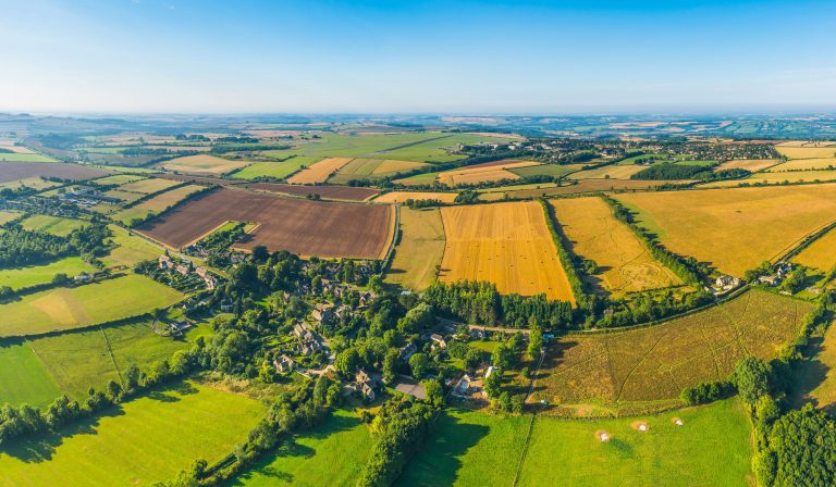 UE impune României şi statelor-membre ca, de la 1 ianuarie 2023, să lase 4% din suprafaţa agricolă necultivată. Reacția autorităților române