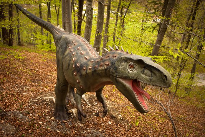 Albertosaurus, Dino Parc, Rasnov