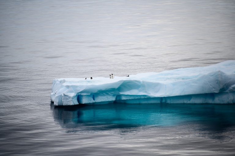 ONU: Temperaturile record din 2024 duc la topirea gheții, creșterea nivelului mării și strămutări masive