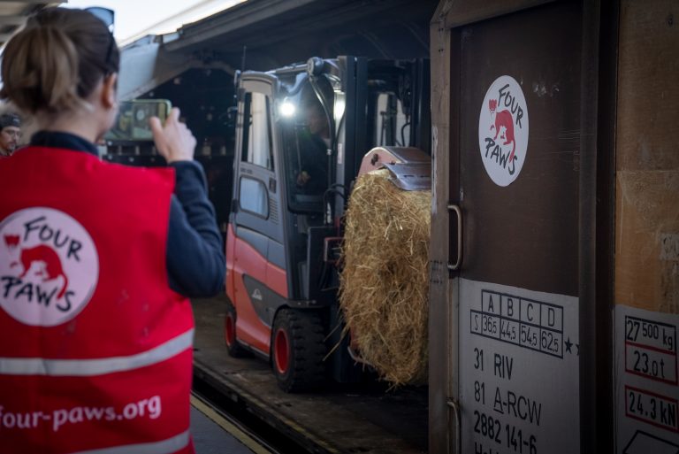 Austrian animal welfare group delivers food, hay to Ukrainian zoos suffering from the Russian invasion