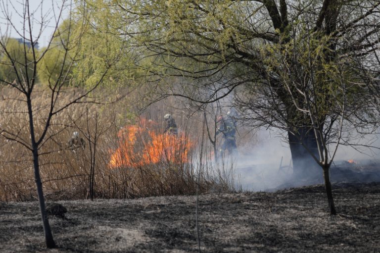 VIDEO | Residents in Romanian capital told to evacuate after wildfire tears through Bucharest Delta
