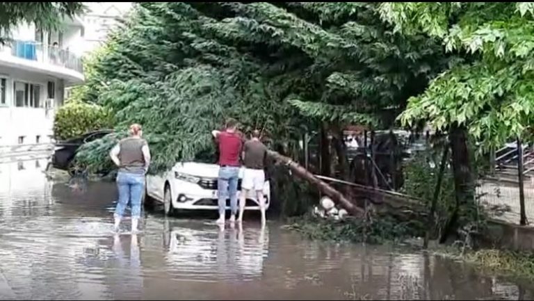 Avertizare de furtună pentru București și localități din Ilfov, Giurgiu și Călărași