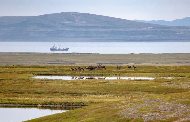 Cum afectează războiul din Ucraina zona arctică. Rusia și-a poziționat rachete nucleare în Peninsula Kola