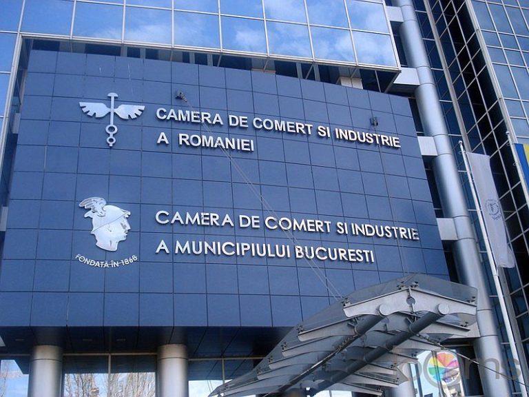 Camera de Comerţ şi Industrie a României propune reorganizarea teritorială totală a României prin reducerea numărului de judeţe la 15