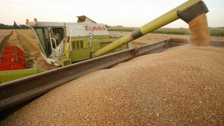 Prețul grâului a crescut pentru a treia zi consecutiv, după retragerea Rusiei din acordul pentru transportul cerealelor prin Marea Neagră