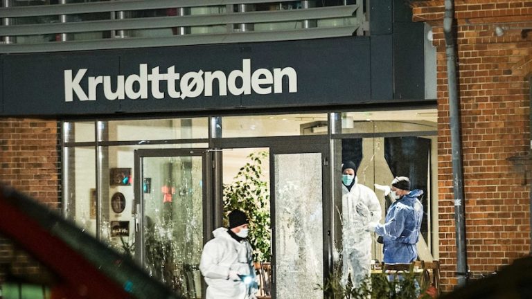 Mai multe persoane au fost împuşcate într-un centru comercial din Copenhaga