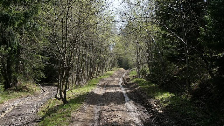 A fost lansată licitaţia publică pentru reabilitarea unui drum judeţean care va lega județele Prahova şi Braşov, alternativă pentru DN 1 şi DN 1A
