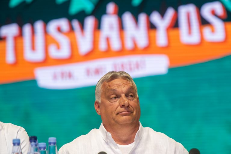 Alina Gorghiu, despre declaraţiile lui Viktor Orban în România