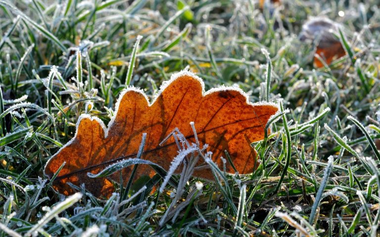 Nopți neobișnuit de friguroase în aproape toate localitățile din Transilvania. 2,5 grade Celsius la Miercurea Ciuc