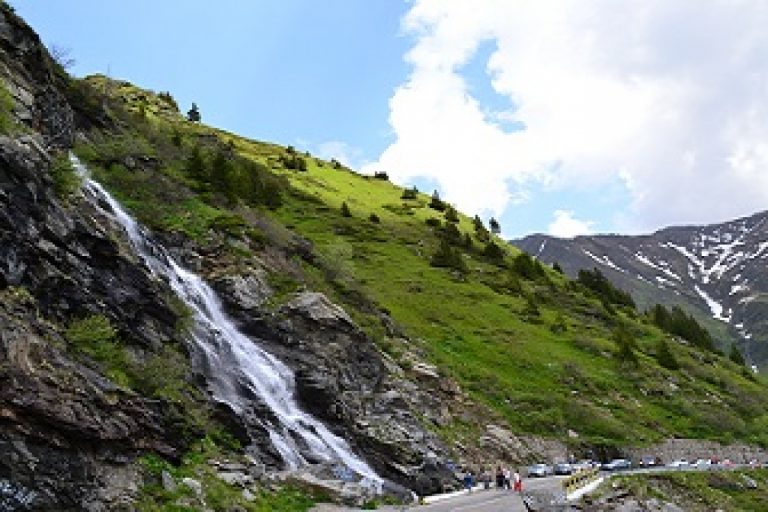 FOTO | O persoană a fost muşcată de viperă într-o zonă intens frecventată de turiști din Munţii Făgăraş