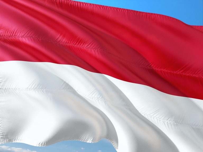 G20 | Indonezia cere în faţa lui Lavrov încetarea războiului din Ucraina