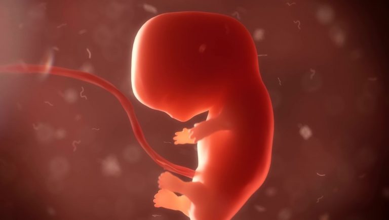 Oamenii de ştiinţă sunt pe cale să creeze embrioni umani sintetici