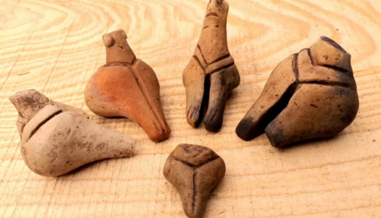 Vestigii arheologice vechi de 7.000 ani, descoperite în apropiere de Târgu-Neamţ