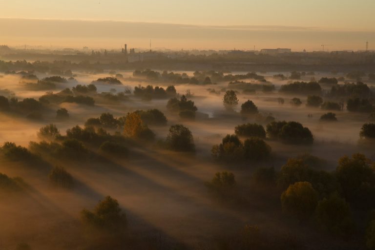 Researchers find explanation for non-Indo-European languages via common ancestor