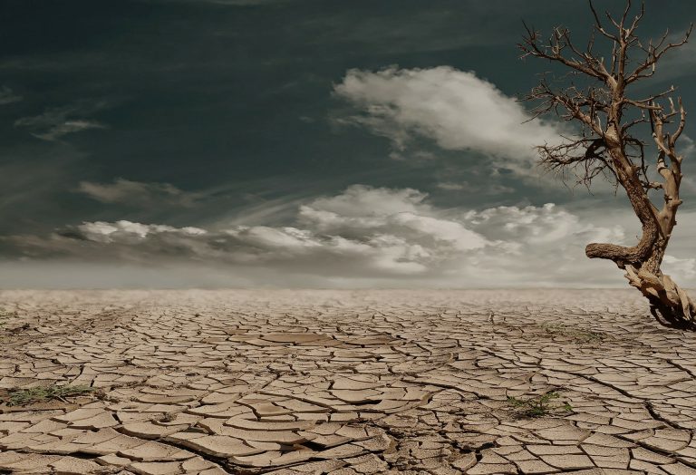 Ce se va discuta la COP27