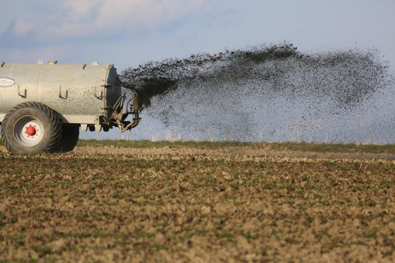 Romania to borrow 60 million euros to cut agricultural pollution