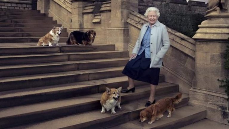 VIDEO | Decesul reginei Elisabeta a II-a aruncă în aer preţul de vânzare al câinilor Corgi