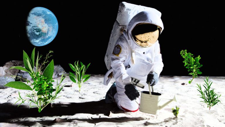 Australia vrea să cultive plante pe Lună până în 2025