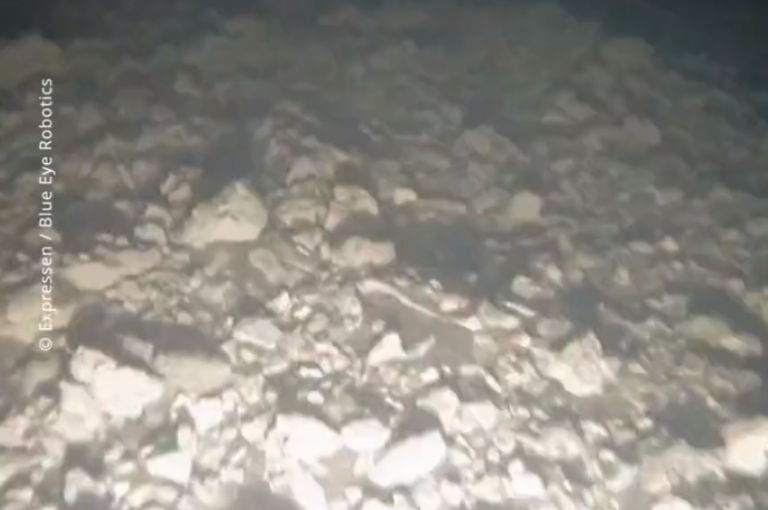 VIDEO | Nord Stream: Primele imagini submarine arată lipsa unui tronson de 50 metri, în urma exploziilor
