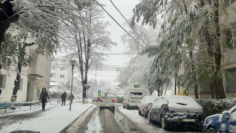 VIDEO | Iarnă timpurie în România. Un oraș a rămas parţial fără curent electric, în urma ninsorii căzute în zonă